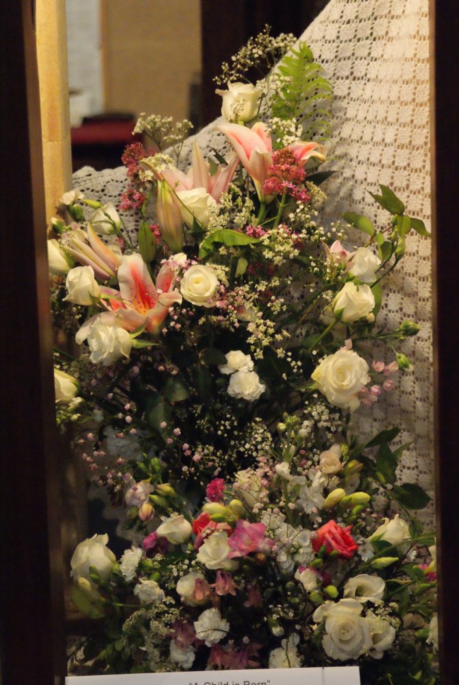 DSC02487-r