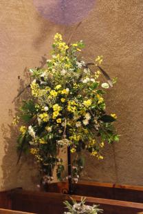 DSC02503-r