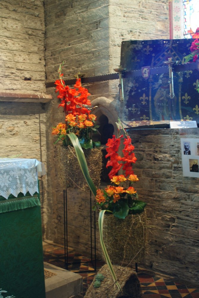 DSC02518-r