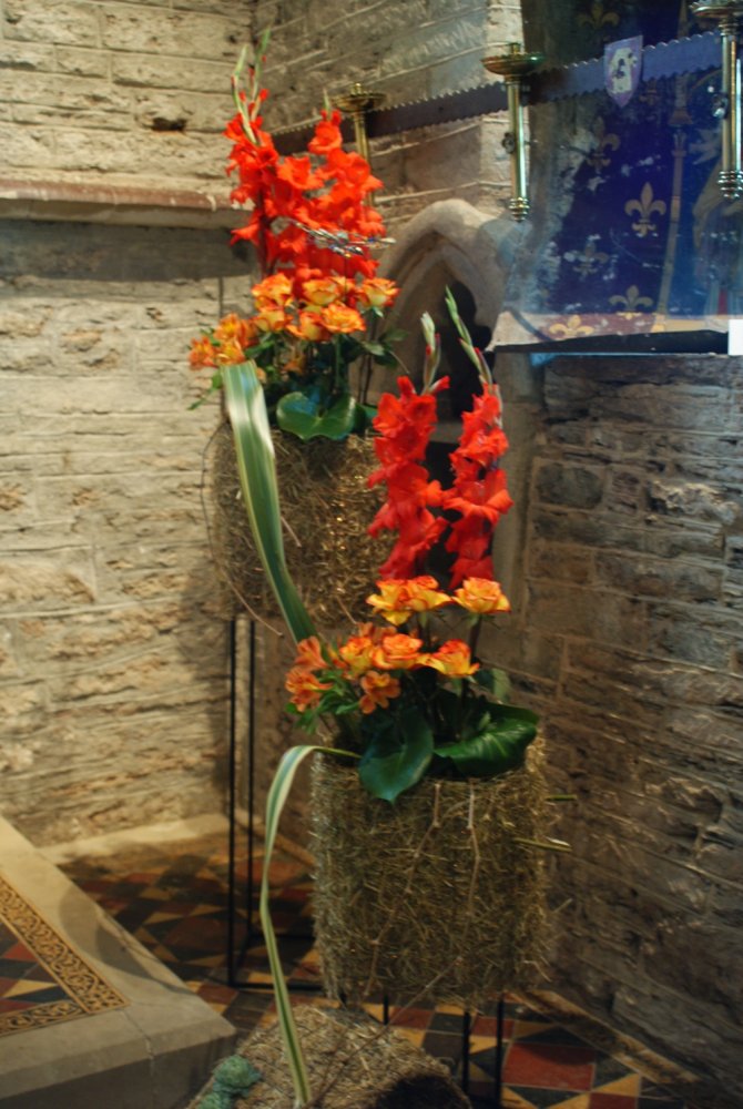 DSC02519-r