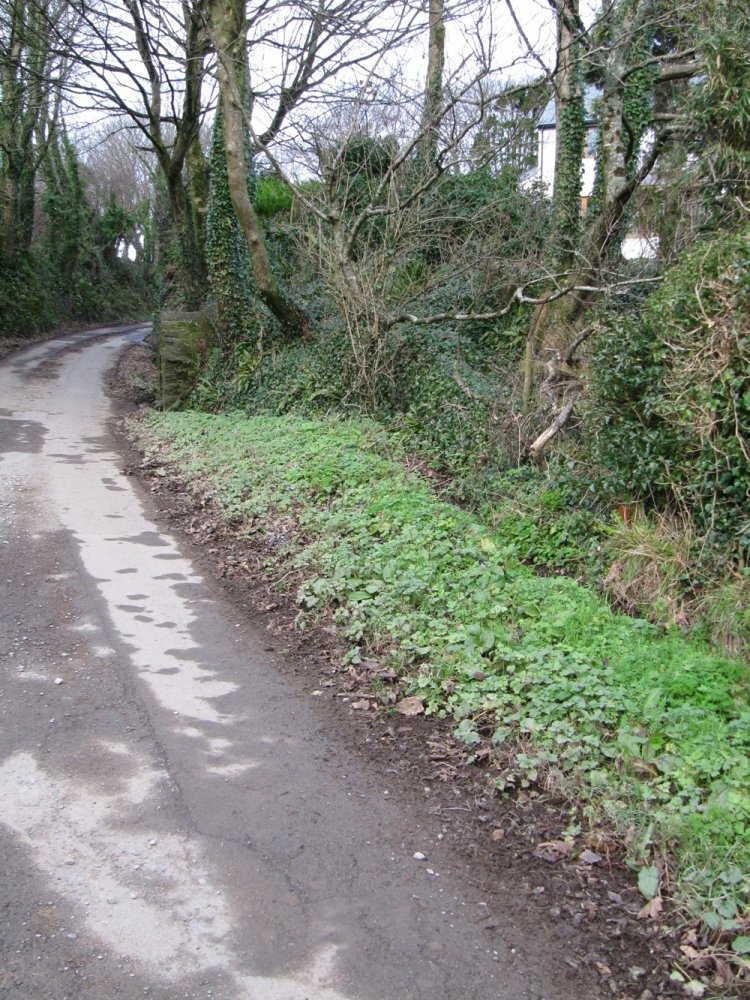 Parish Boundary 007-r