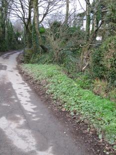 Parish Boundary 007-r