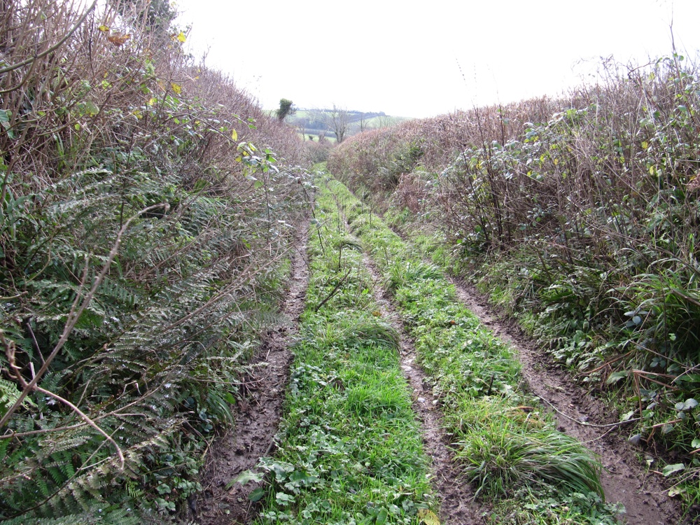 Parish Boundary 008-r