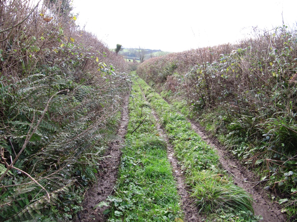 Parish Boundary 009-r