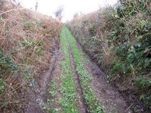 Parish Boundary 010-r
