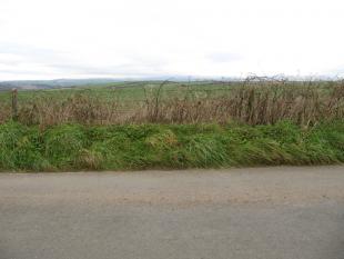 Parish Boundary 021-r