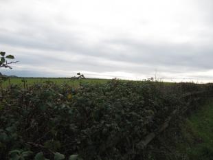 Parish Boundary 030-r