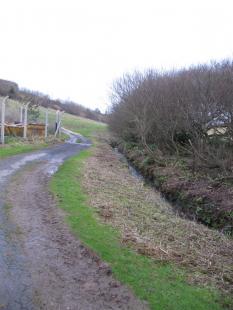 Parish Boundary 031-r