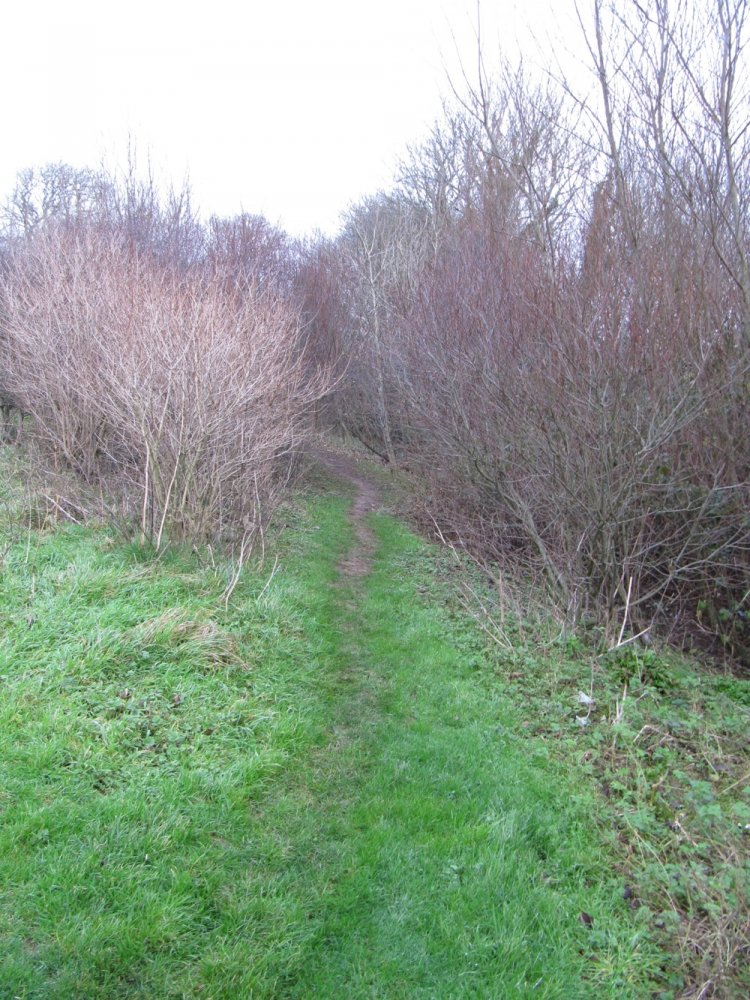 Parish Boundary 033-r