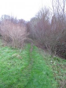 Parish Boundary 033-r