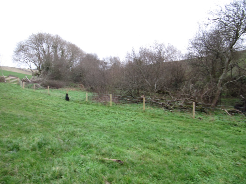 Parish Boundary 036-r