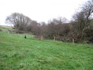 Parish Boundary 036-r