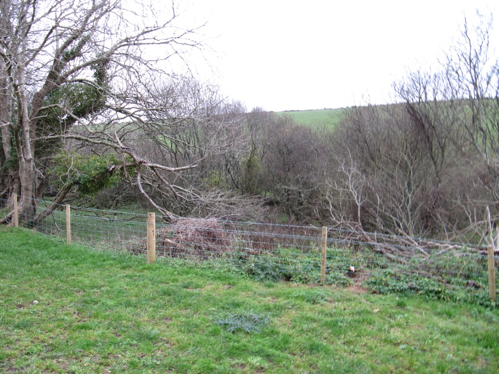 Parish Boundary 037-r