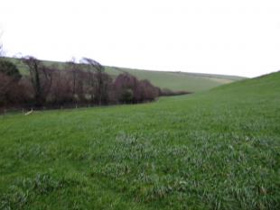 Parish Boundary 043-r