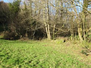 Parish Boundary 055-r