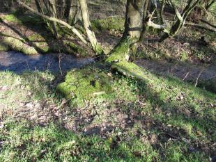Parish Boundary 058-r