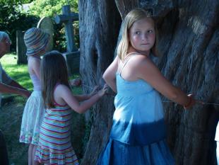 Measuring the Yew Tree with Di-r