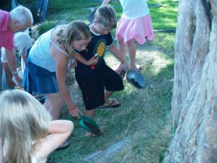Planting - Spreading something 2-r