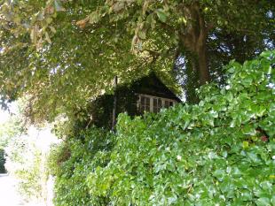 *East end overshadowed by tree-r