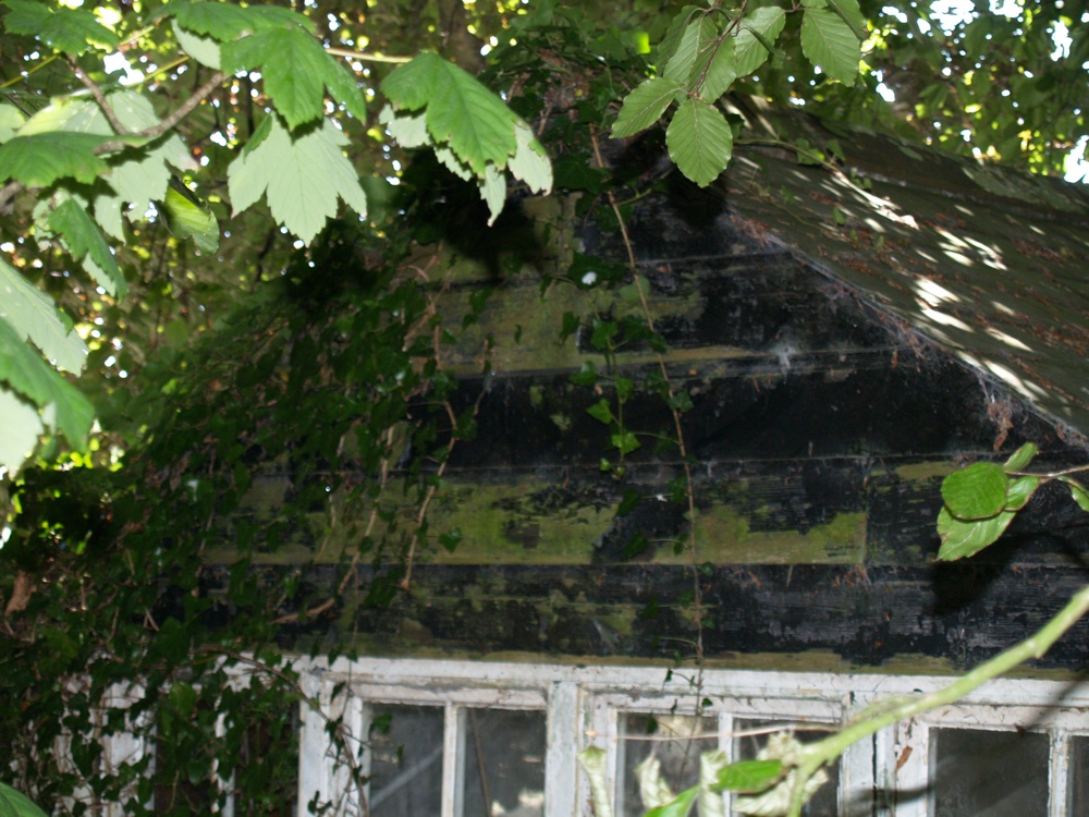 *Exterior view above window in east wall-r