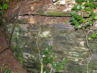 *Lean-to stone outbuilding - roof collapsing 1-r