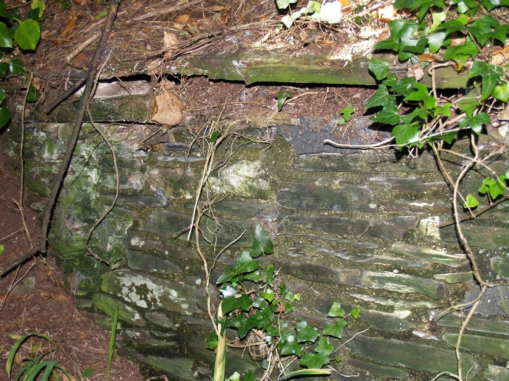 *Lean-to stone outbuilding - roof collapsing 2-r