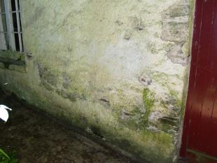 *Poor render and damp on rear wall-r