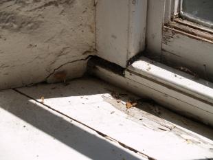 *Rotting window- south wall 1-r