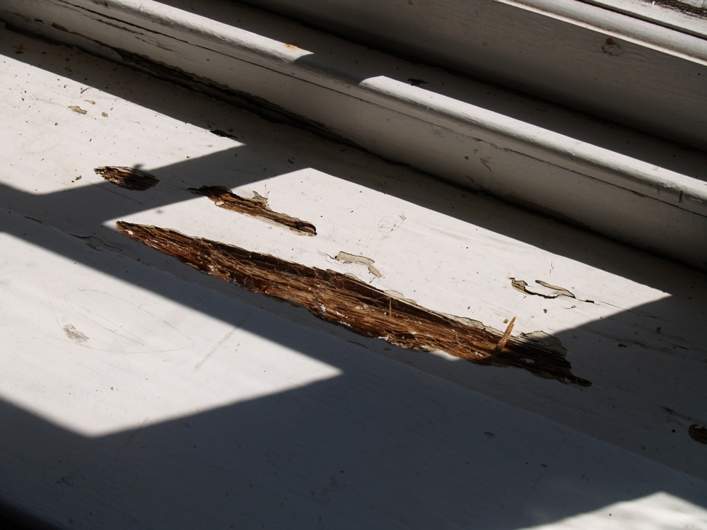*Rotting windowsill - south walll-r