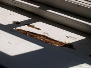 *Rotting windowsill - south walll-r